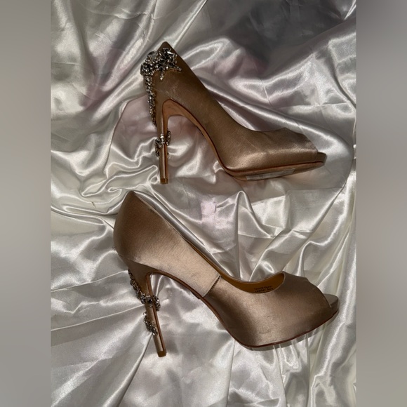 Nordstrom Shoes - Badgley Mischka Heels (7)